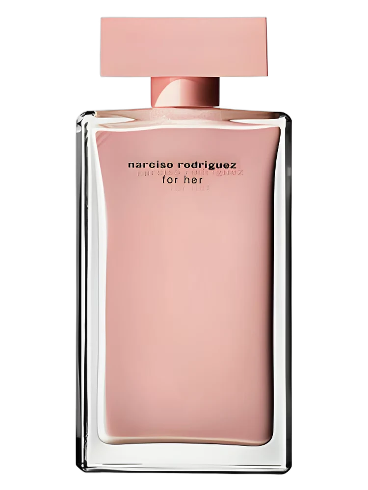 NARCISSO ROSE